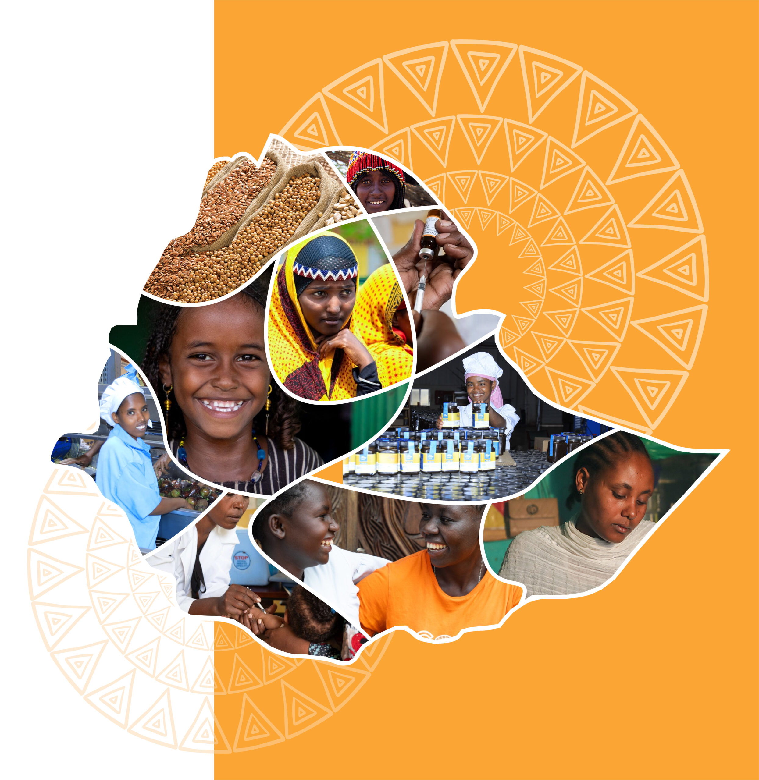 DPG Ethiopia Homepage Collage 4